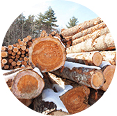 北美实木结构板原木芯材